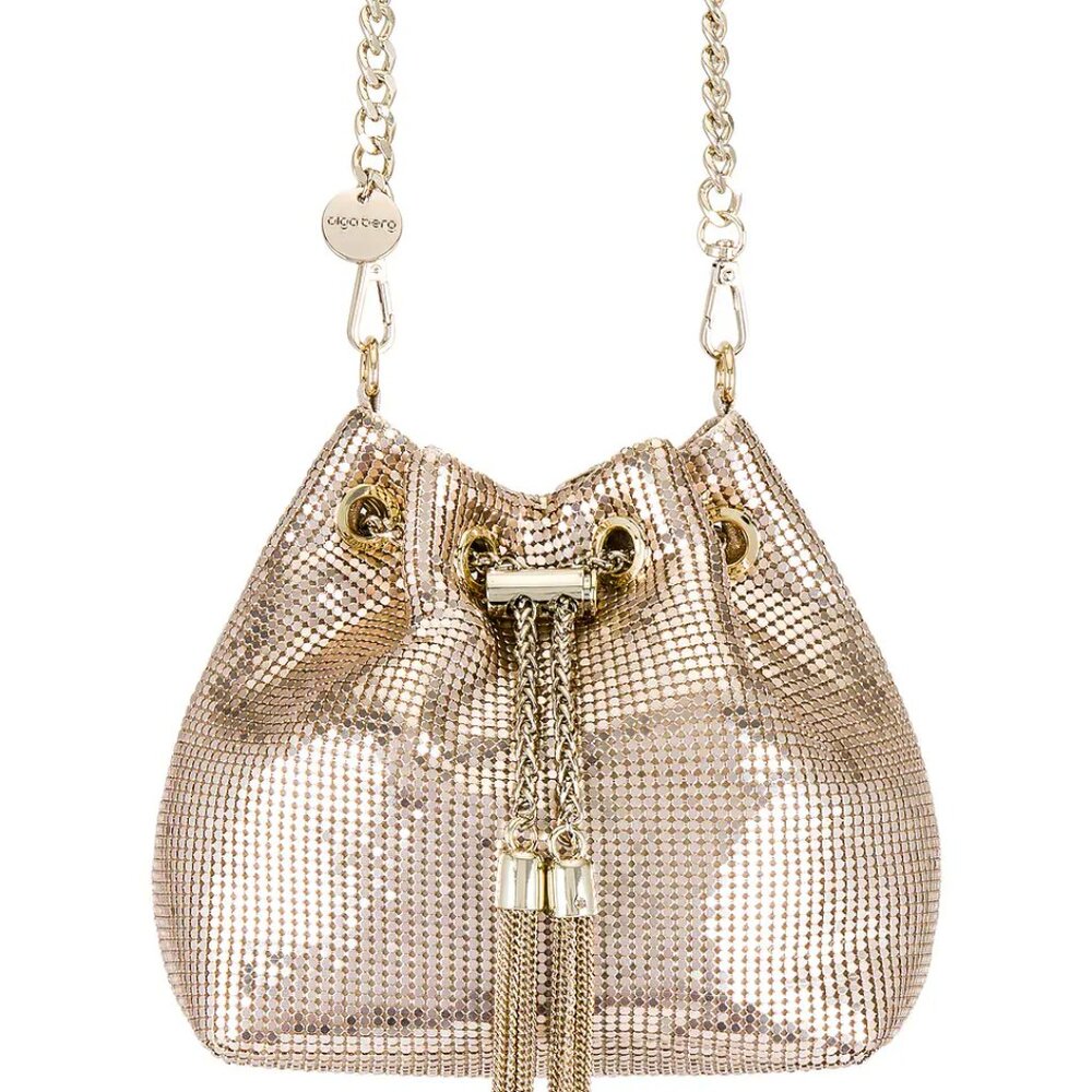 Gold Mesh Evening Bag/Pouch